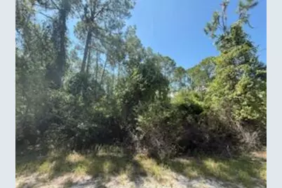 337 Palm Way, Georgetown, FL 32139 - Photo 3