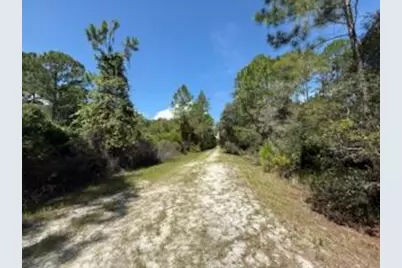 337 Palm Way, Georgetown, FL 32139 - Photo 5
