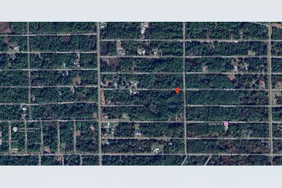 337 Palm Way, Georgetown, FL 32139 - Photo 7