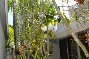 17145 Bay St, Jupiter, FL 33477 - Photo 7