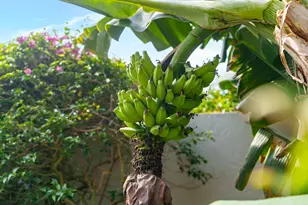 16112 Villa Vizcaya Pl, Delray Beach, FL 33446 - Photo 27