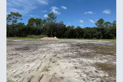 Tbd SW 146th Lane Road, Dunnellon, FL 34432 - Photo 3