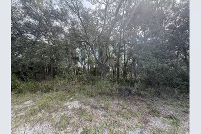 Tbd SW 146th Lane Road, Dunnellon, FL 34432 - Photo 11