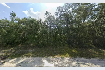 Tbd SW 146th Lane Road, Dunnellon, FL 34432 - Photo 17