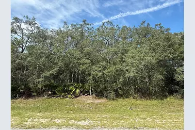 Tbd SW 146th Lane Road, Dunnellon, FL 34432 - Photo 13