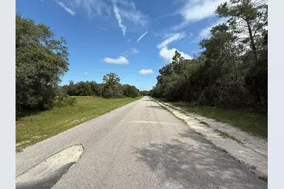Tbd SW 146th Lane Road, Dunnellon, FL 34432 - Photo 5