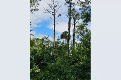 404 Greenwood Avenue, Lehigh Acres, FL 33972 - Photo 5