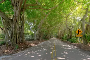 3800 SE Bent Banyan Way, Stuart, FL 34997 - Photo 41