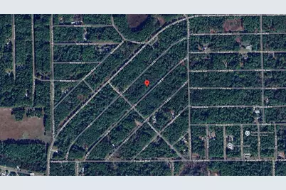210 SE 2nd Street, Georgetown, FL 32139 - Photo 7