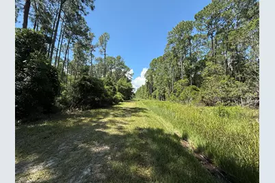210 SE 2nd Street, Georgetown, FL 32139 - Photo 3
