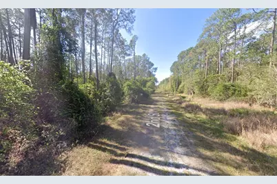 210 SE 2nd Street, Georgetown, FL 32139 - Photo 5