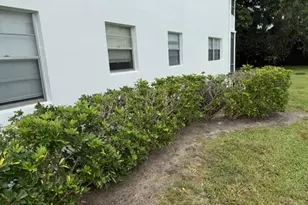 201 Ventnor M, Deerfield Beach, FL 33442 - Photo 15