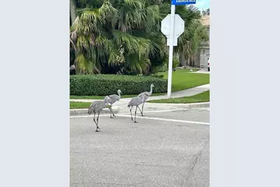 2585 San Andros, West Palm Beach, FL 33411 - Photo 61