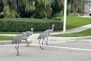 2585 San Andros, West Palm Beach, FL 33411 - Photo 57