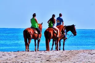 469 NW Blue Lake Dr, Port Saint Lucie, FL 34986 - Photo 57