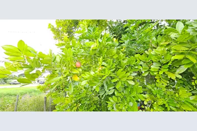 632 SW 13th Street, Belle Glade, FL 33430 - Photo 25