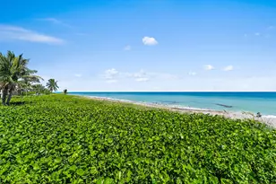 50 Celestial Way, Juno Beach, FL 33408 - Photo 29