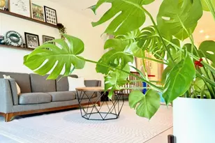 612 Papillon St SW, Palm Bay, FL 32908 - Photo 17