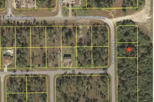 121 Naples Ave S, Lehigh Acres, FL 33974 - Photo 1