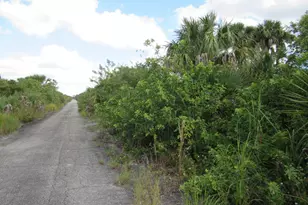 3362 Anhinga Ave SW, Palm Bay, FL 32908 - Photo 1
