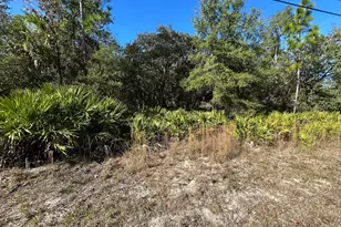 632 N Dunkenfield Ave, Crystal River, FL 34429 - Photo 1