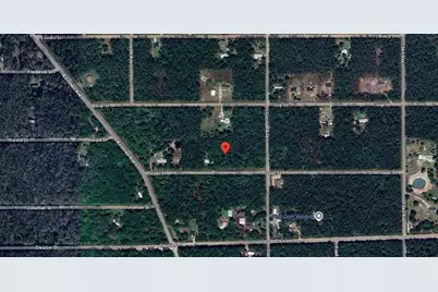 4220 Isaac Street, Hastings, FL 32145 - Photo 3