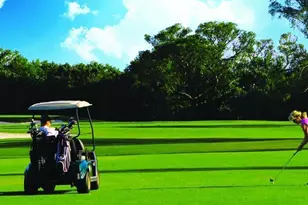 2731 NE 5th St, Pompano Beach, FL 33062 - Photo 85