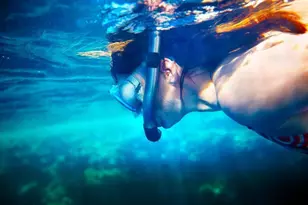 2731 NE 5th St, Pompano Beach, FL 33062 - Photo 77