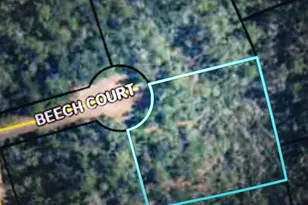 000 Beech Ct, Alford, FL 32420 - Photo 1