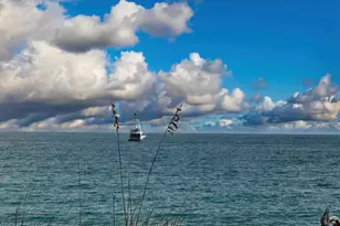 4200 N Surf Rd, Hollywood, FL 33019 - Photo 27