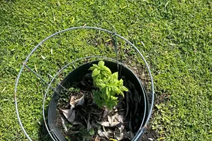 1592 SE Burning Ct, Port Saint Lucie, FL 34952 - Photo 15