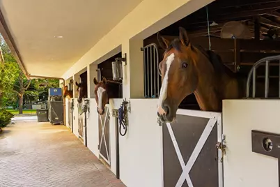 5420 Las Palmas Avenue, Wellington, FL 33449 - Photo 13