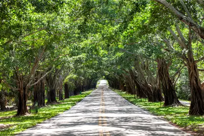 116 N Beach Road, Jupiter Island, FL 33455 - Photo 35