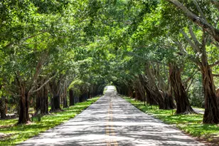 116 N Beach Rd, Jupiter Island, FL 33455 - Photo 35