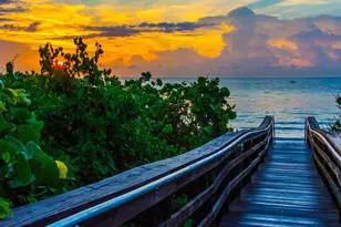 11913 Bayberry St, Palm Beach Gardens, FL 33410 - Photo 41