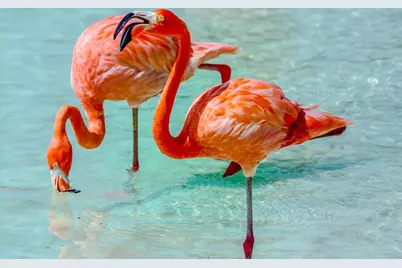 5050 N Ocean Drive #703, Singer Island, FL 33404 - Photo 77