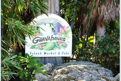 13461 Treasure Cove Circle, North Palm Beach, FL 33408 - Photo 75