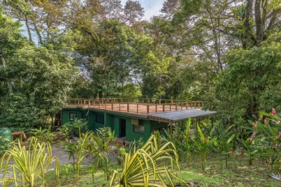 200 Burn Brae Way, Bocas Del Toro #Panama, Almont, CO  - Photo 31