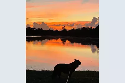 9695 Porta Leona Lane, Boynton Beach, FL 33472 - Photo 59