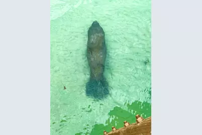 105 Paradise Harbour Boulevard #206, North Palm Beach, FL 33408 - Photo 27