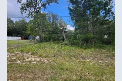 234 1st Way, Interlachen, FL 32148 - Photo 3