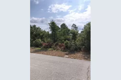 1731 Charleston Street, Lake Placid, FL 33852 - Photo 3