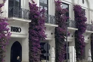 3636 Whitehall Dr, West Palm Beach, FL 33401 - Photo 35