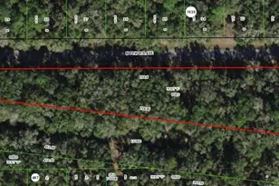 182 E Kingsdale St, Citrus Springs, FL 34434 - Photo 1