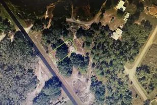 519 Washington Blvd, Lake Placid, FL 33852 - Photo 1