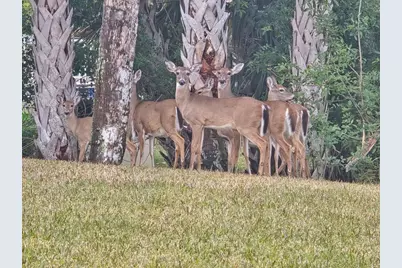 133 Island Estates Parkway, Palm Coast, FL 32137 - Photo 69