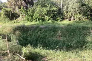 [Address not provided], West Palm Beach, FL 33407 - Photo 5