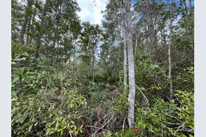 215 Royal Avenue, Interlachen, FL 32148 - Photo 5