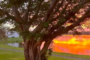 2900 Olivewood Terrace, Boca Raton, FL 33431 - Photo 45