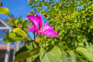 11098 SW Wyndham Way, Port Saint Lucie, FL 34987 - Photo 51